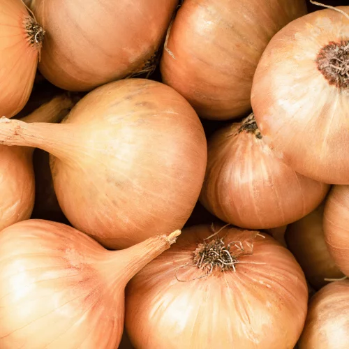 Oignons